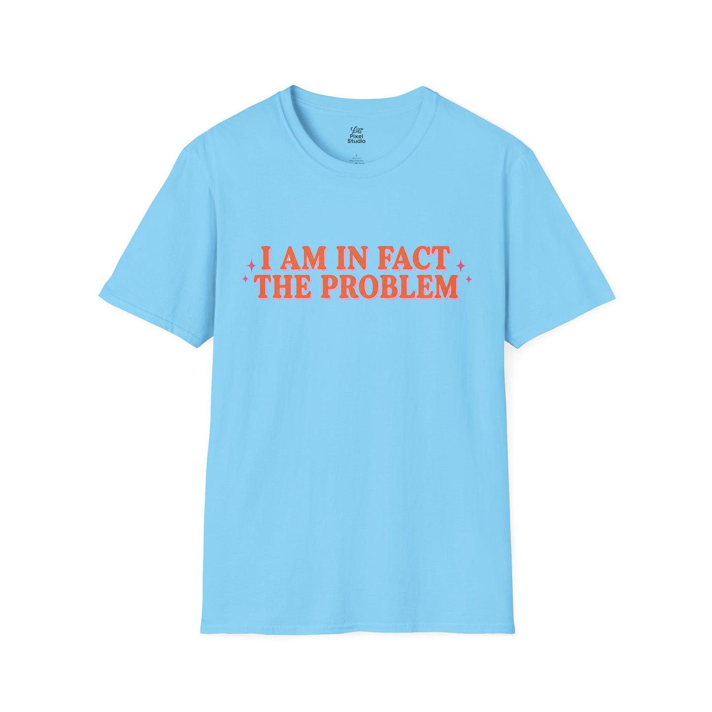I Am In Fact The Problem Womens Shirt, Funny Self Aware Tee, Petty And Prosperous Shirt, Sarcastic Graphic Tee For Women