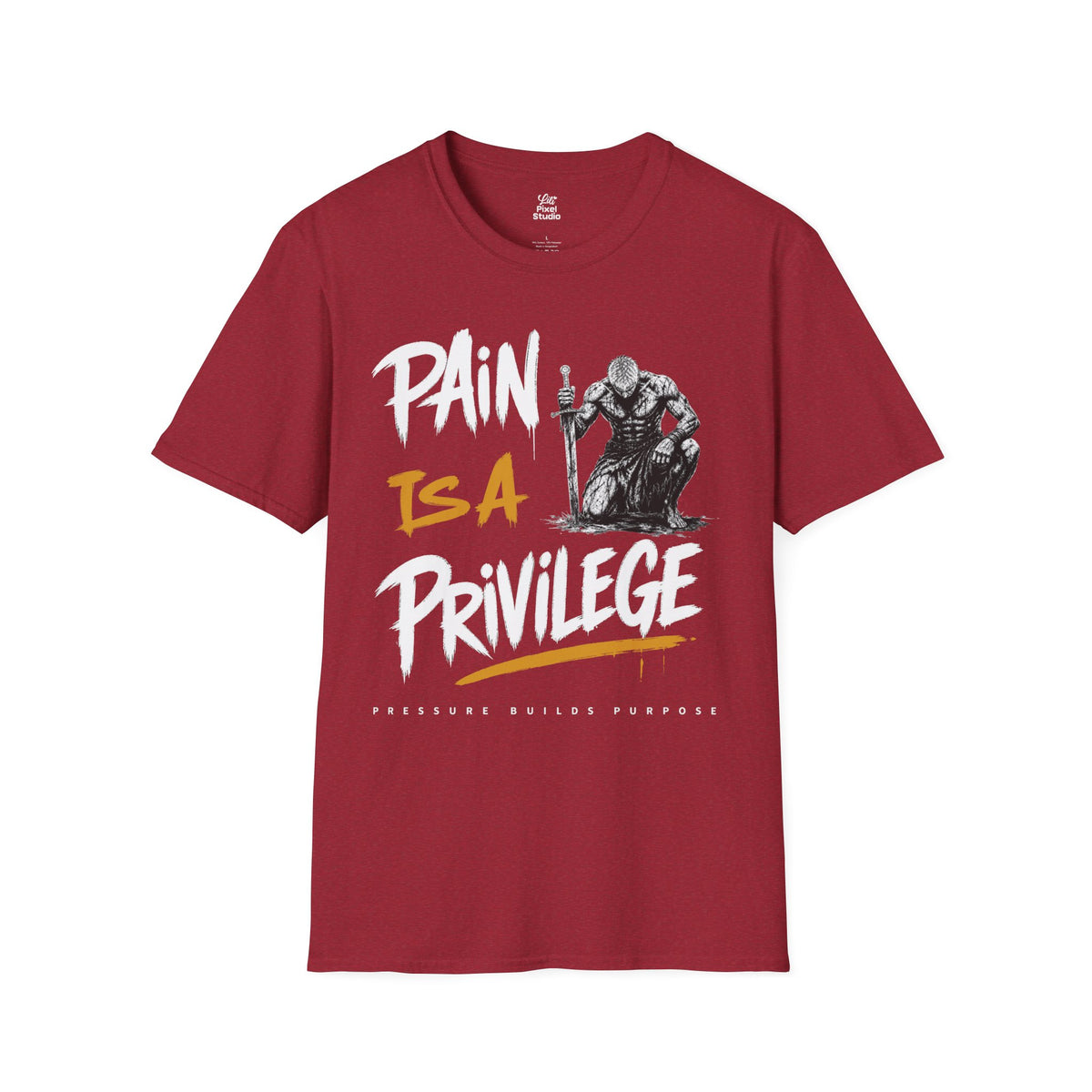 Pain Is A Privilege Shirt, Motivational Gym T-Shirt, Warrior Graphic Tee, Fitness Motivation Shirt, Resilience Tee, Inspirational Unisex Shirt
